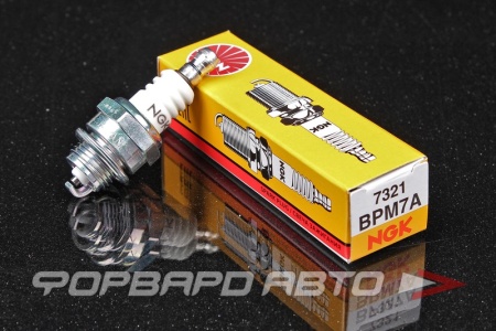 Купить Свеча зажигания NGK 7321
