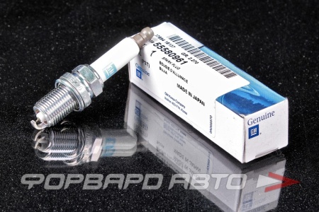 Купить Свеча зажигания GENERAL MOTORS 55580961