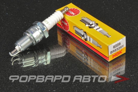 Купить Свеча зажигания NGK 6229