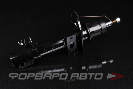 Купить Амортизатор передний MILES DG01372