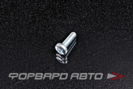 Купить Винт 6*20 (полусфера) оцинк. <> 515K-M6-20