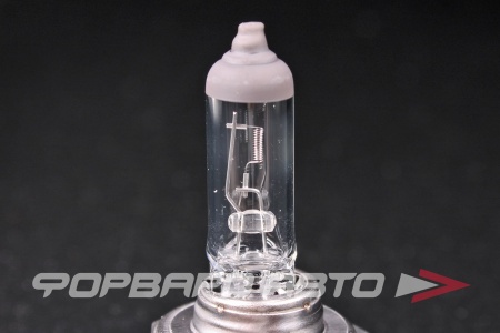 Купить Лампа H7 12V 55W PX26d 3200K Standard EXCELITE EXCELITE 10700