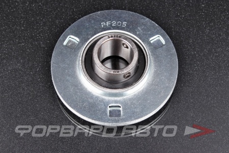 Купить Подшипниковый узел (d-25) KG SBPF205 (SB205+PF205)