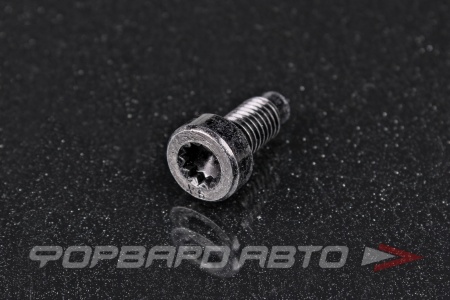 Купить Болт М8*1,25*20 под TORX AUTO-GUR AGA1405