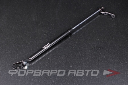 Купить Амортизатор задней двери TOYOTA YARIS, PLATZ, VITZ NCP1, NLP1, SCP1 1999-2005, ЛЕВЫЙ SSP 6896059025S