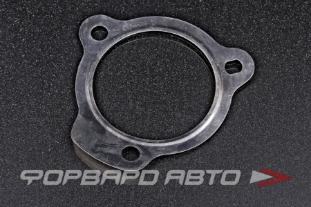 Купить Прокладка выхлопной системы D-70, d-8/10*81,5 FA1 220-924