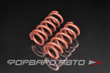 Купить Пружины для койловеров 18 кг, длина 203мм, ID65мм, универсальные SWIFT Z65-203-180