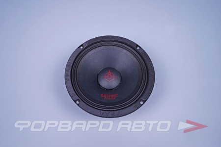 Купить Автоакустика ГРОМ (165мм, 170/600Вт., Эстрадный широполосник)   (1ШТ) URAL АС-ПТ165