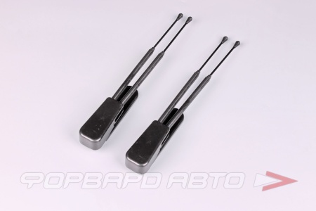 Купить Антенна декоративная,( 2 шт) Черный AVG АД(ТВ)-01-1