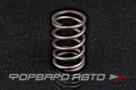 Купить Пружина клапана ВАЗ 2101 (наружняя большая) <> 21010-1007020