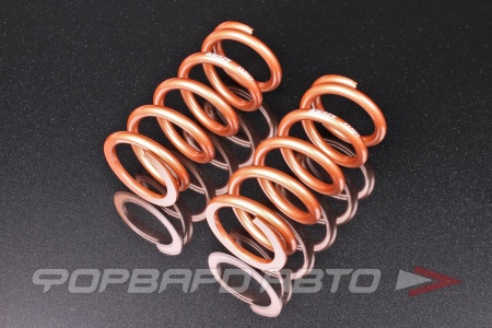 Купить Пружины для койловеров 8 кг, длина 178мм, ID65мм, универсальные SWIFT Z65-178-080