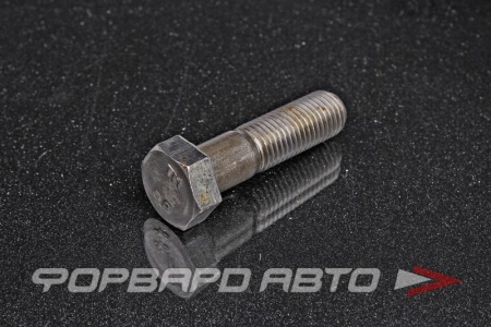 Купить Болт М16*2*60 СИБИРЬ 