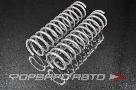 Купить Пружины задние ВАЗ 2110, 1117, 1118, 1119, 2170, 2172, 2190, 2191, 2192, Datsun on-Do, Datsun mi-DO №11 SS20 SS30104