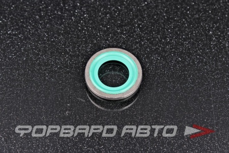 Купить Кольцо уплотнительное GENERAL MOTORS 55567827