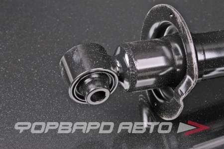 Купить Амортизатор задний MILES DG02242
