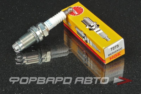 Купить Свеча зажигания NGK 7273