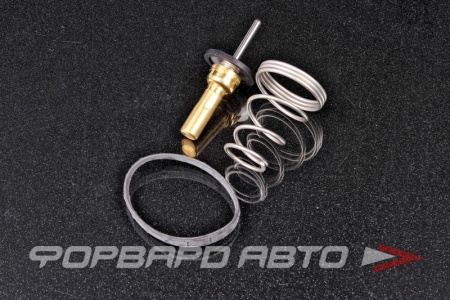 Купить Термостат (термоэлемент) GATES TH49682G1