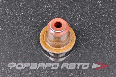 Купить Колпачок маслосъёмный VICTOR REINZ 70-37281-00