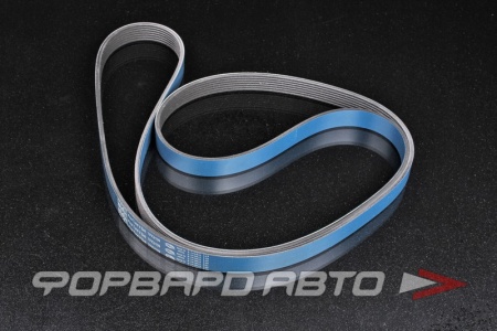 Купить HKS FINE TUNE V-BELT NISSAN GT-R VR38DETT HKS 24996-AK031