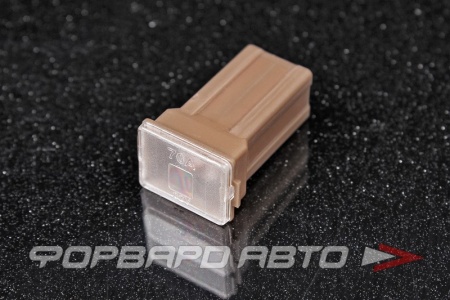 Купить Предохранитель силовой "мама" малый 70А MELCO FJ16.070.001