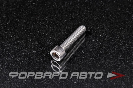 Купить Винт цилиндр. с внутренним шестигранником нерж. М6*30 DIN912 A2  