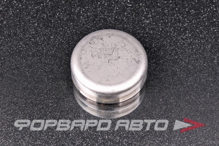 Купить Заглушка блока d33 RENAULT 7703075231