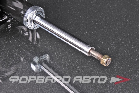 Купить Амортизатор передний, левый MILES DG11014-01