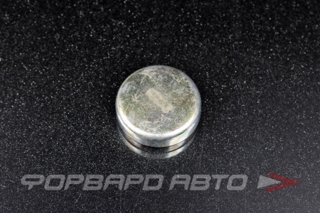 Купить Заглушка блока двигателя WPB-34мм  