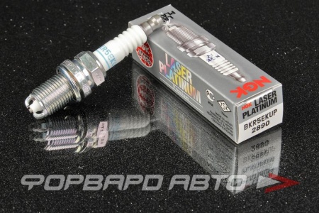 Купить Свеча зажигания NGK 2890