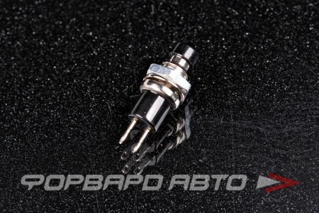 Купить Кнопка 2 положения, без фиксации (нормально замкнутая) ON-(OFF) с резьбой <> ps-105-bn