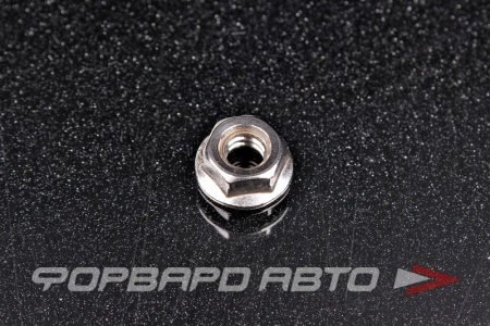 Купить Гайка шестигранная 1/4" с фланцем, нерж. сталь UNC DIN6923 <> 00055648