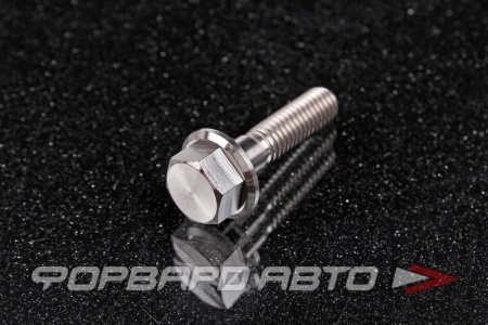 Купить Болт М6*1,0*25 титановый с фланцем FORA TITANIUM DIN6921-6*25Ti
