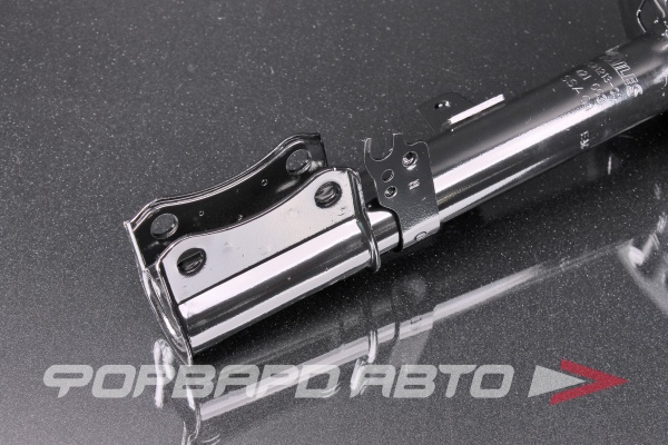 Амортизатор задний, правый MILES DG21213-01