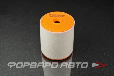 Купить Фильтр воздушный VAG 4G0 133 843 L