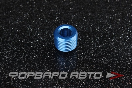 Купить Фитинг заглушка 1/8" под шестигранник, алюминий AUTOBAHN88 