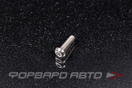Купить Винт M4*0,7*16 титановый полукруглая головка, внутренний шестигранник FORA TITANIUM ISO7380-4*16Ti
