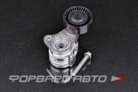 Купить Натяжитель приводного ремня RUVILLE 55066