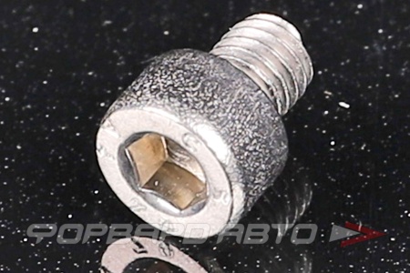 Купить Винт цилиндр. с внутренним шестигранником нерж. М5*6 DIN912 A4  00040346