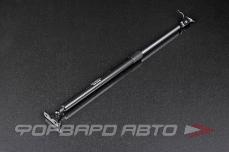 Купить Амортизатор задней двери TOYOTA CALDINA (T19#) 1992-1997 (правый) RH SSP 6895005030S