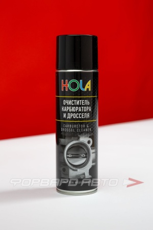 Купить Очиститель карбюратора и воздушной заслонки, 650 мл HOLA H03