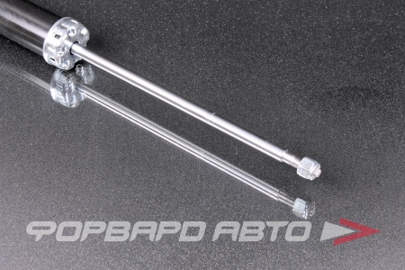 Купить Амортизатор задний MILES DG02179