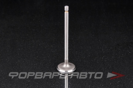 Купить Клапан впускной N-ROCKY MA-131-0