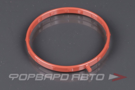 Купить Прокладка дроссельной заслонки MAZDA P301-13-655