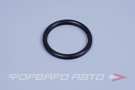 Купить Прокладка термостата LADA Largus, Renault Logan РТИ 550572FR