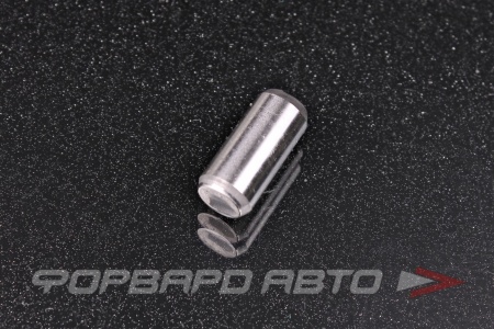 Купить Втулка направляющая 10*21,8 TOYOTA 90250-10113