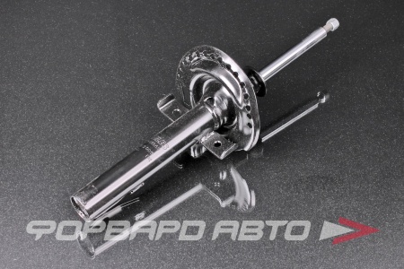 Купить Амортизатор передний MILES DM01363