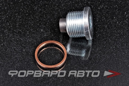 Купить Пробка сливная 22*1,5 масляного поддона, с магнитом FA1 748.620.011 Купить Пробка сливная 22*1,5 масляного поддона, с магнитом FA1 748.620.011