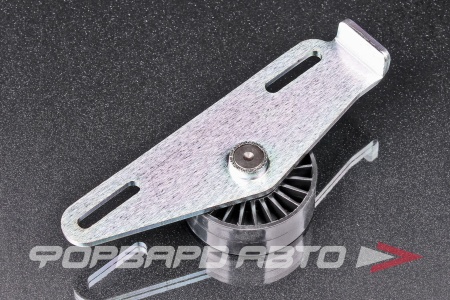 Купить Ролик ремня приводного RENAULT 8200849831