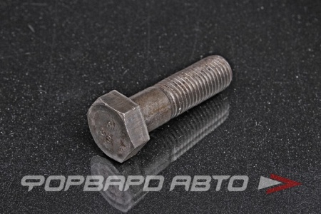 Купить Болт М20*2,5*70 черн. <> 