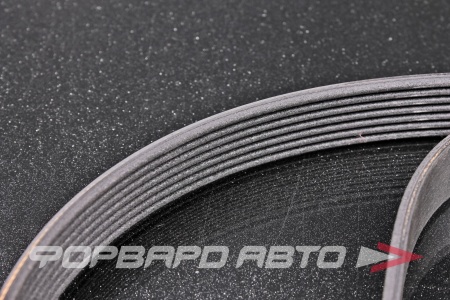 Купить Ремень RENAULT 117204148R